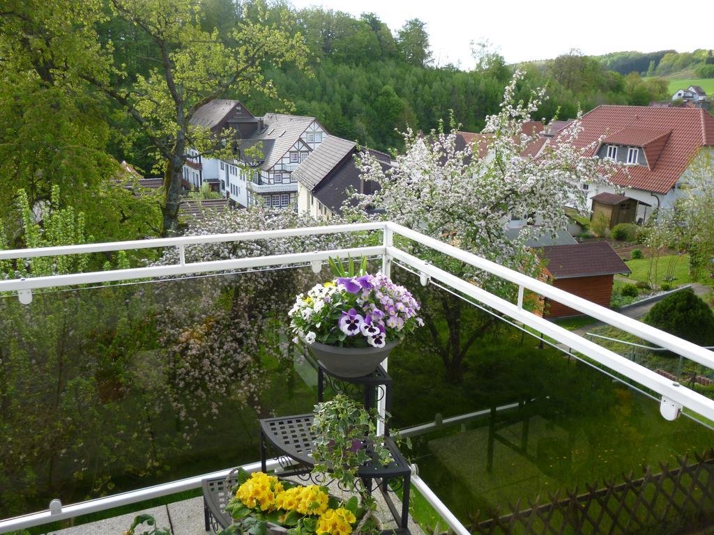 Ferienwohnung Dommes Fuhrbach Luaran gambar